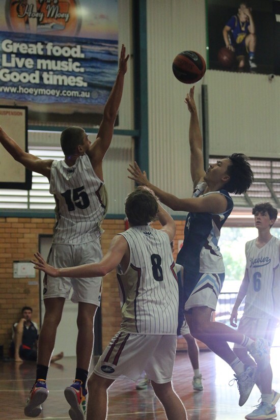 Dio Basketball (8)