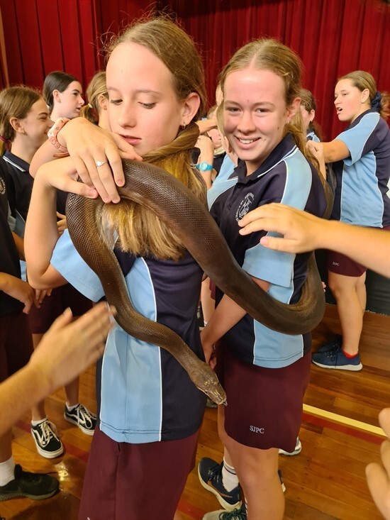 Year 8 Snake Tails (4)