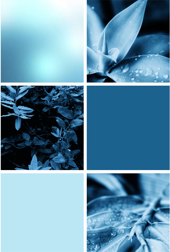 Dropbox for your Grid Colourisation Collage (23 Feb 2020 at 7_21 pm)