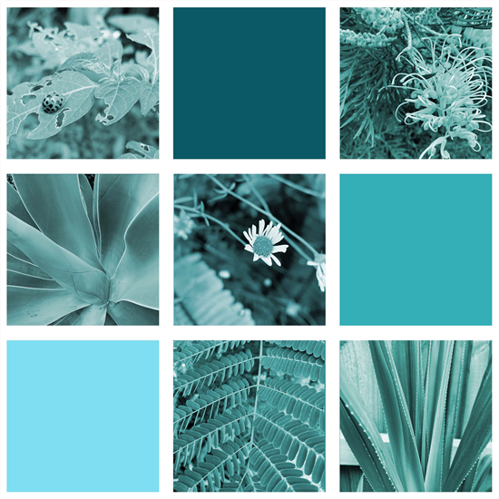 Dropbox for your Grid Colourisation Collage (24 Feb 2020 at 9_10 pm)