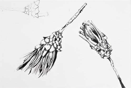 Year 7 Ink Drawing (2)