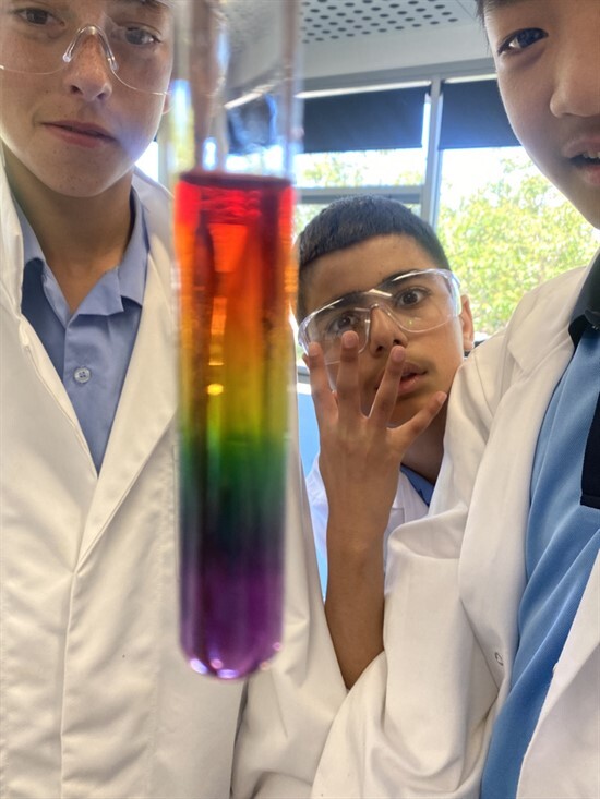Science 6