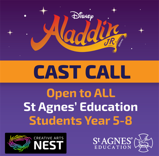 Aladdin_cast_call.PNG