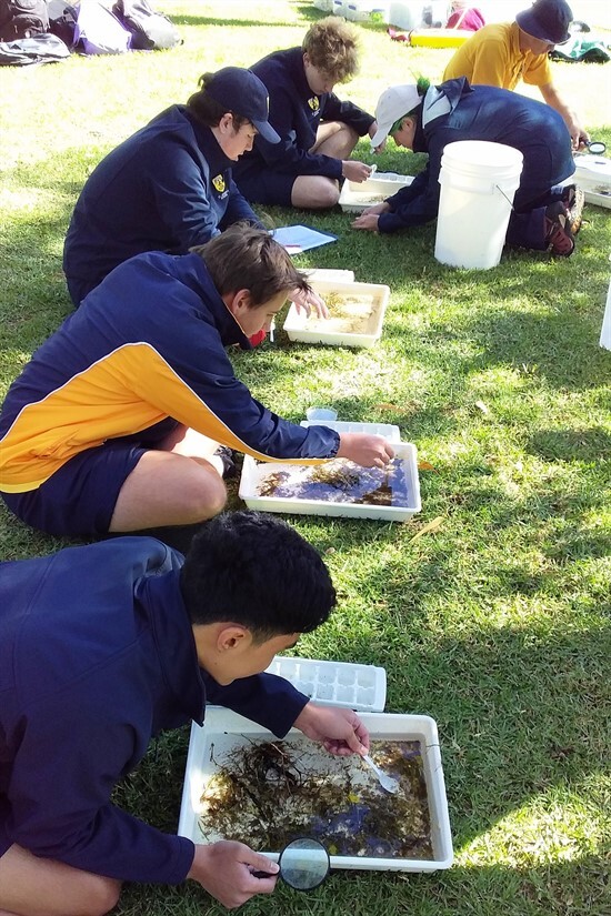 Yr 11 Integrated Science Exc T2 - Joondalup (3)