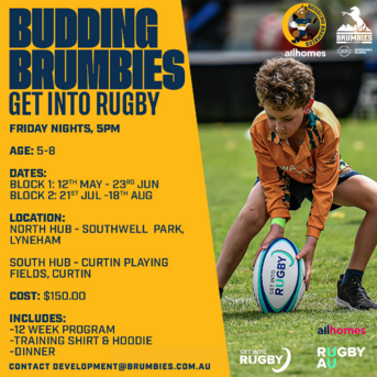 Budding_Brumbies_Flyer.png