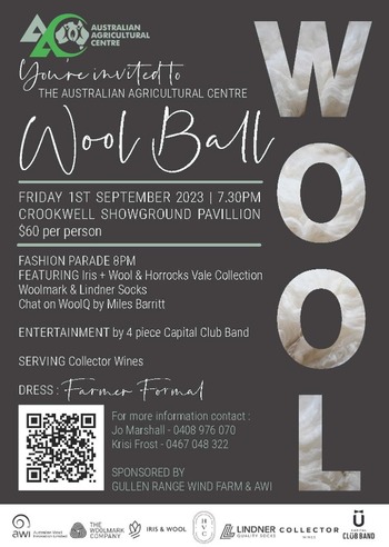 Wool_Ball_Flyer.jpg