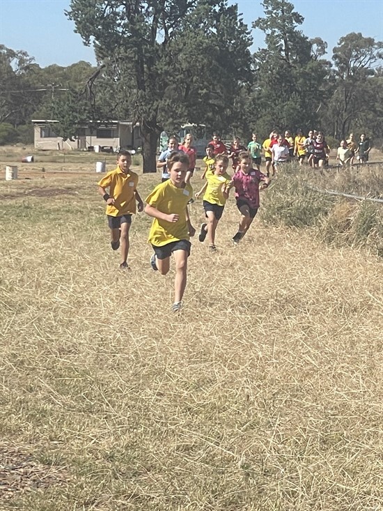 Cross Country action (2)