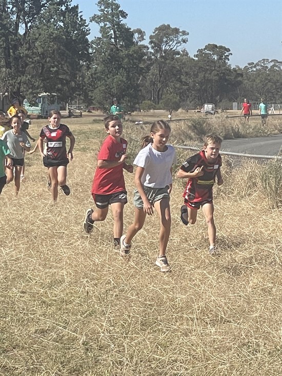 Cross Country action (3)