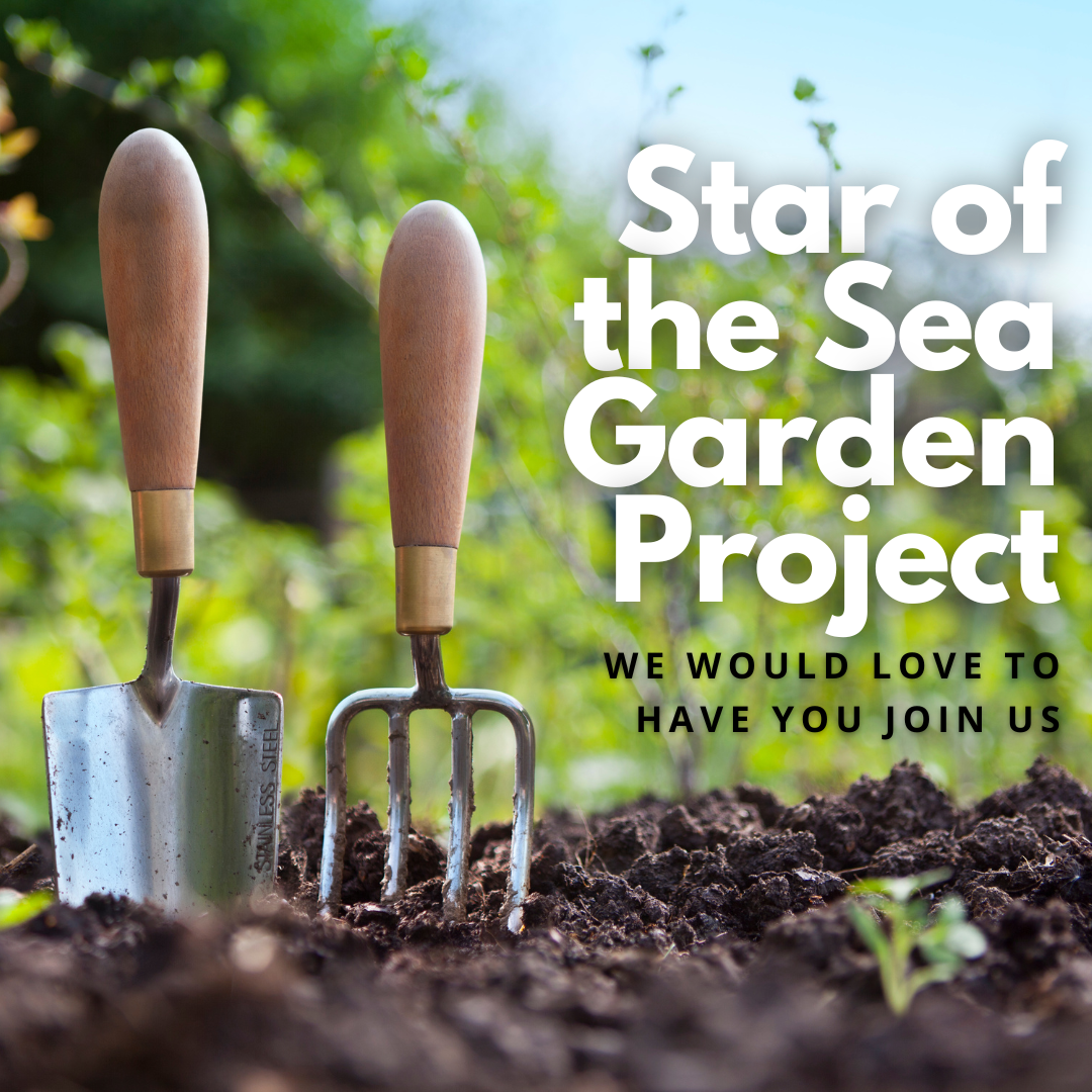 Information Session about our Star of the Sea Garden Project featured image