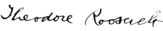 1280px_Theodore_Roosevelt_Signature.svg.png