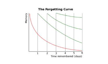forgetting_curve.png