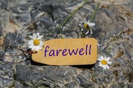 farewell.jpg