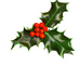 holly_transparent_background.png