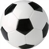 Soccer_ball.jpg