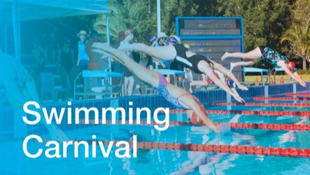 Swimming_Carnivals_2.jpg