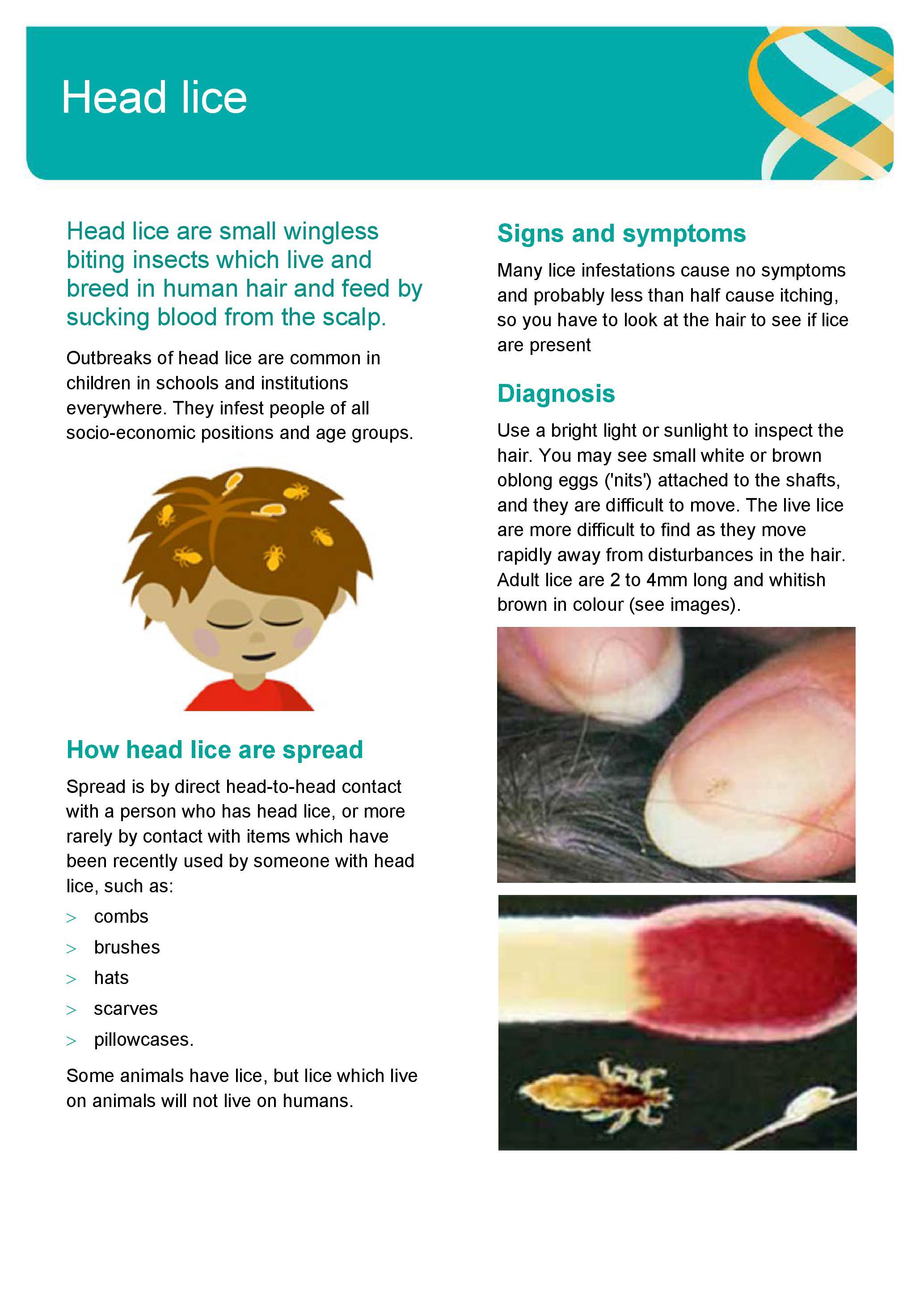 Head Lice Information (1)_Page_1