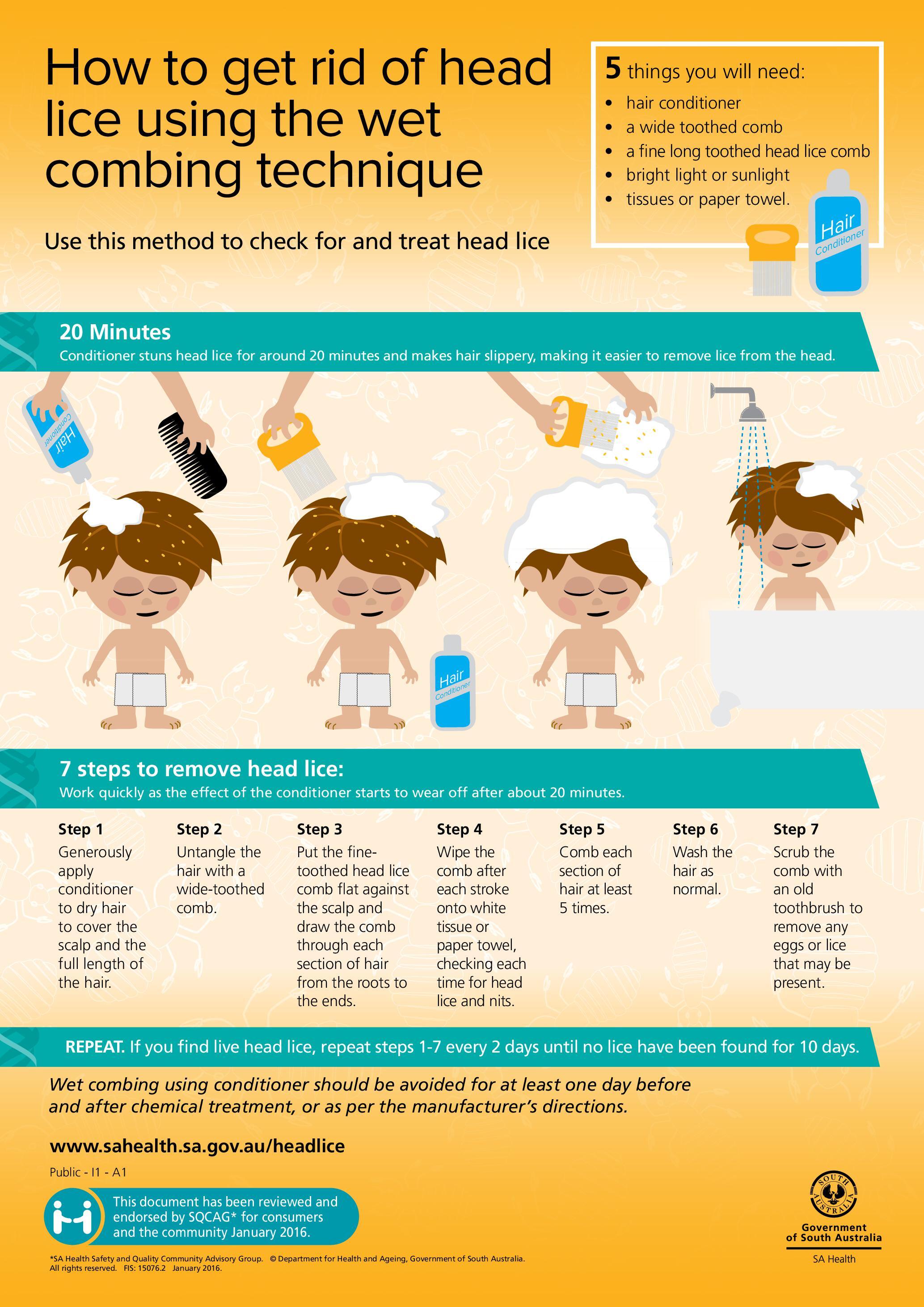 Head Lice Wet Combing (1)_Page_1