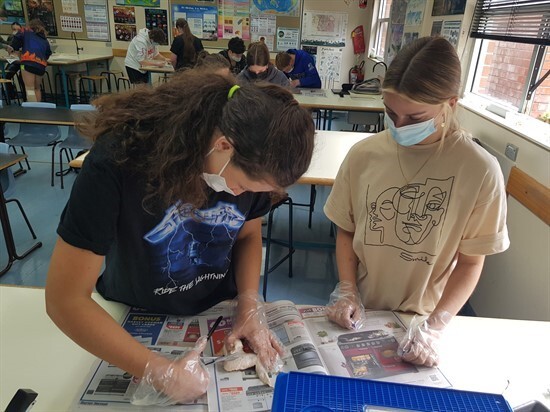 Y11 Human Bio students dissecting a chicken wing