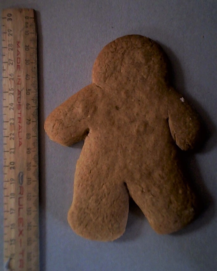 Eisa real gingerbread person
