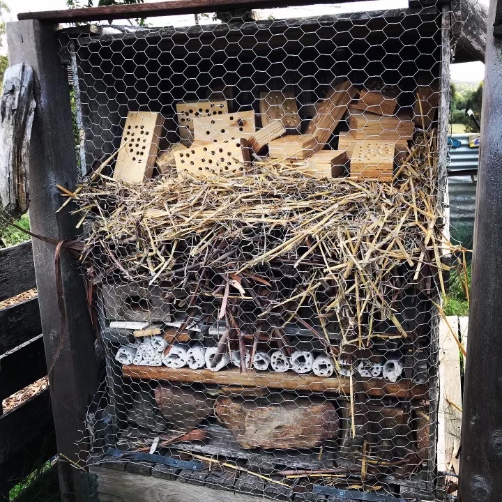 insect hotel 3