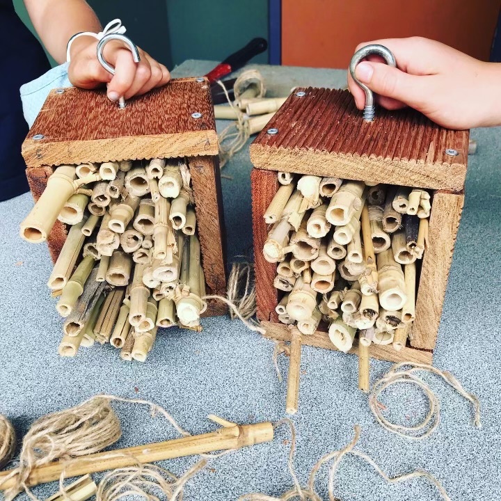 insect hotel 5